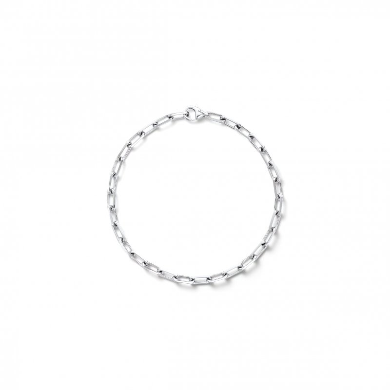 (image for) CARTIER SANTOS DE CARTIER BRACELET, CHAIN, SMALL MODEL B6090500