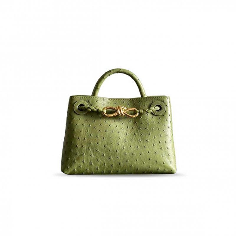 (image for) BOTTEGA VENETA MINI ANDIAMO 805232 (20.5*15*7cm)