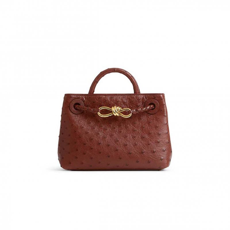 (image for) BOTTEGA VENETA MINI ANDIAMO 805232V3RQ22507 (20.5*15*7cm)
