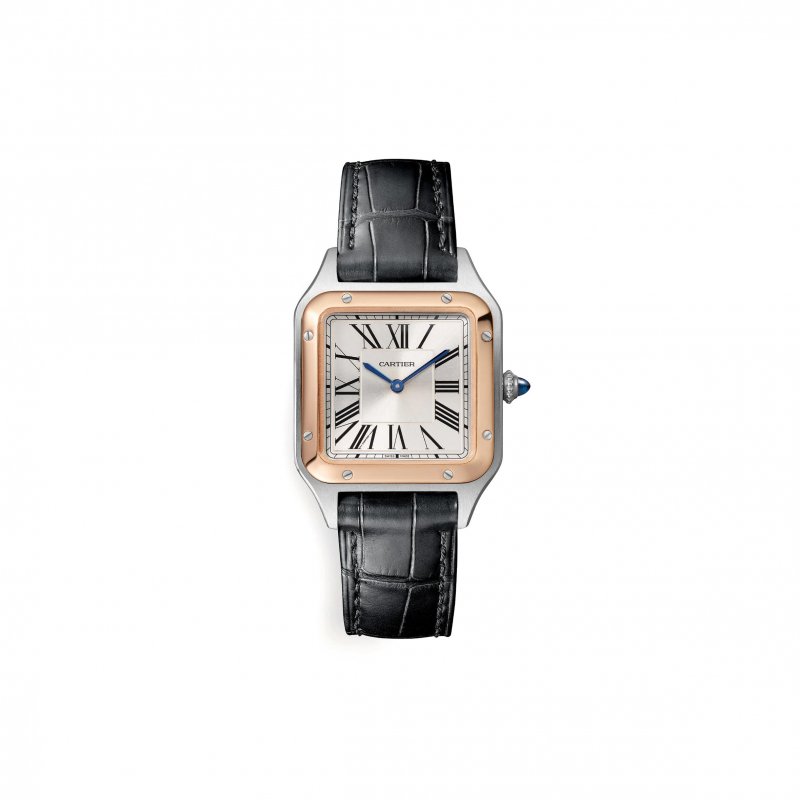 (image for) CARTIER SANTOS-DUMONT WATCH 38MM W2SA0012