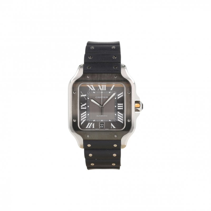(image for) CARTIER SANTOS LARGE 40MM WATCH WSSA0037