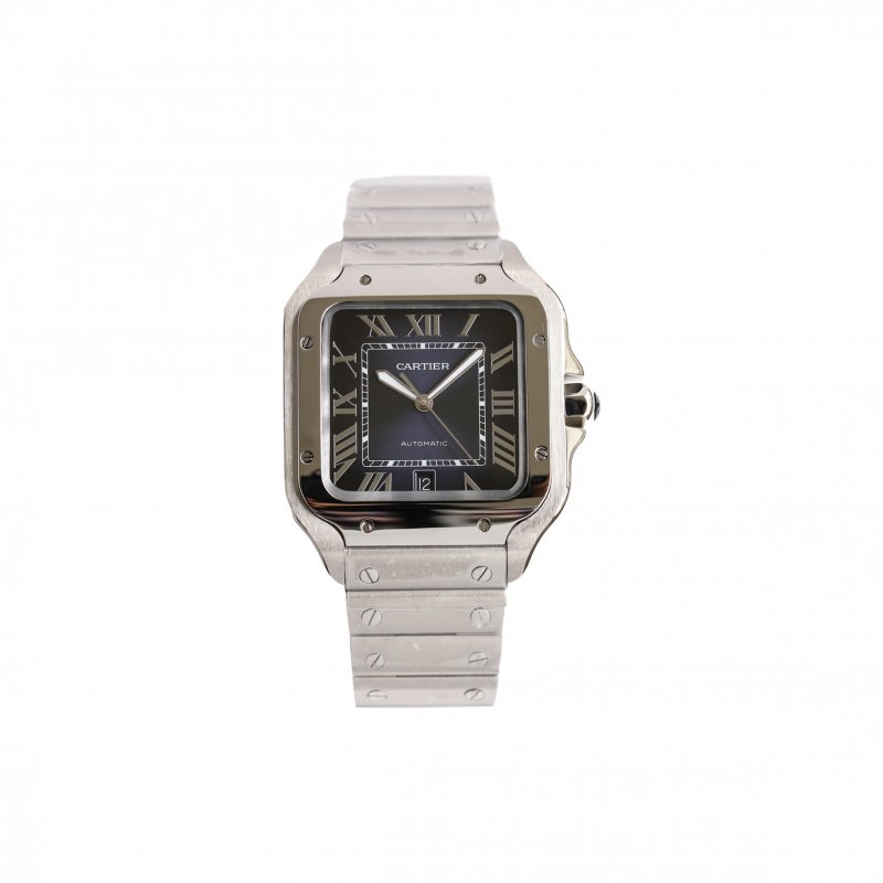 (image for) CARTIER SANTOS DE 40MM WATCH WSSA0013