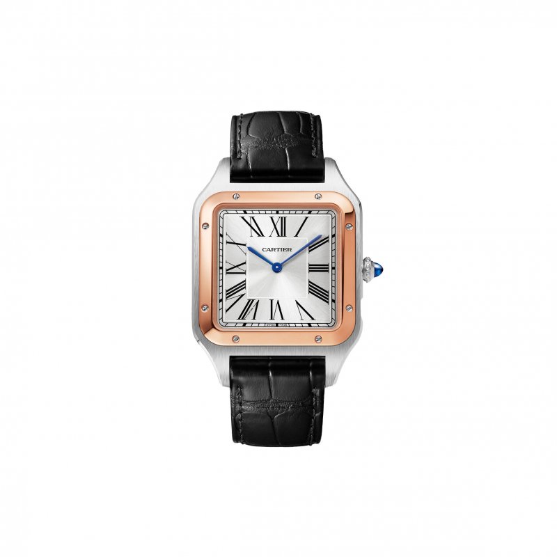 (image for) CARTIER SANTOS-DUMONT EXTRA-LARGE 47MM WATCH W2SA0017
