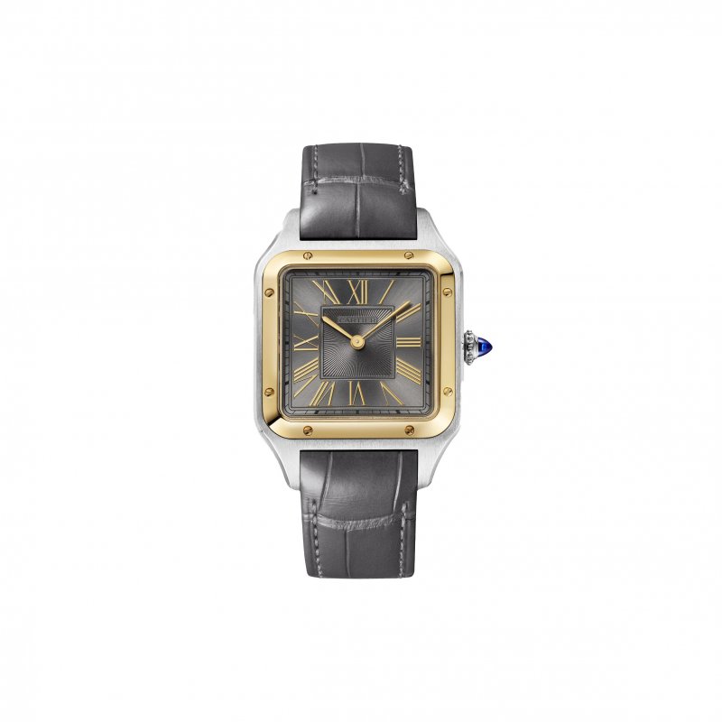 (image for) CARTIER SANTOS-DUMONT 44MM WATCH W2SA0028