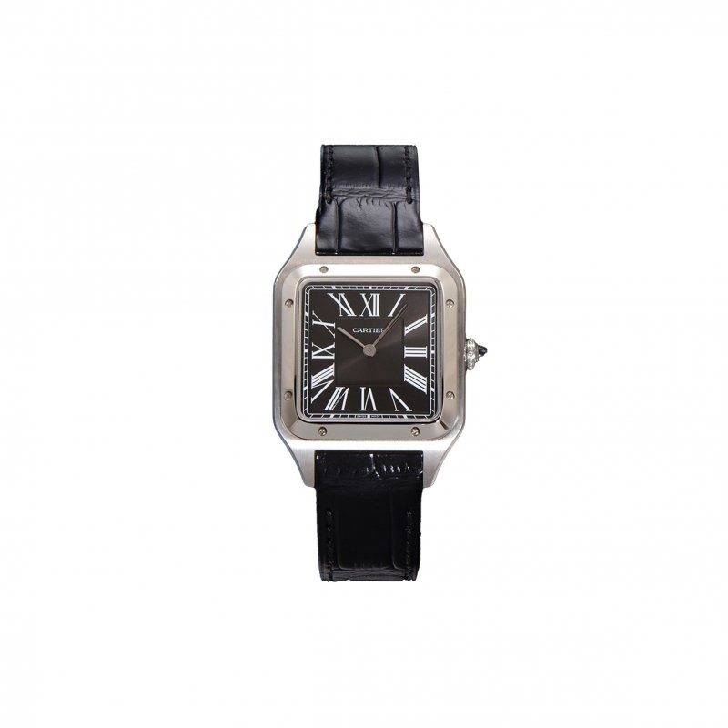(image for) CARTIER SANTOS DUMONT 44MM WATCH WSSA0046