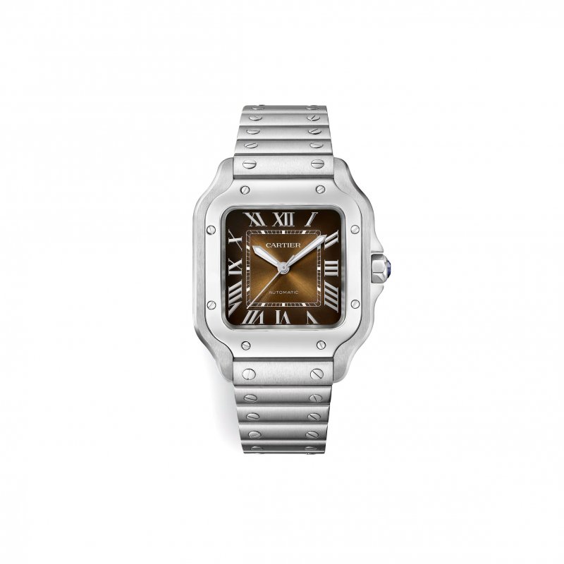 (image for) CARTIER SANTOS DE CARTIER WATCH WSSA0065